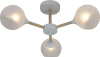 10664_3-WH_WOOD-1