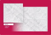 00036251