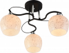 s9ednm8orgr4xy6b3v3mmbipmcfvgjio