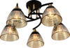 10634_5-BK_FGD-1