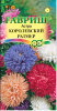astra-korolevskij_razmer.jpg