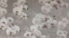 УА-00028578