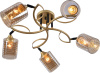 10579_5-GOLD_BK
