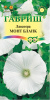 lavatera_mont_blank.png