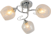 10636_3-CR-1