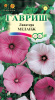 lavatera_melanzh.png