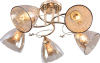 10564_5-FGD