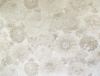 УА-00014002