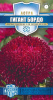 1999949495.jpg