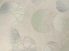 00252670