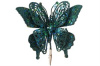 24624_small
