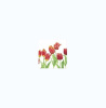 phpThumb_generated_thumbnail (1)