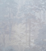 УА-00041462