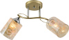10633_2-GOLD_CR-1