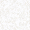 1338_image_big (1)