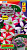b0253c01_2f10_11e9_80d8_0cc47adb9c64_4477cda6_06dd_11ea_80e5_0cc47adb9c64.jpeg