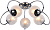 10533_5-CR