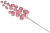 22532_middle
