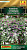 7505a9e6_3a23_11eb_80f5_0cc47adb9c64_8e604cce_91fd_11eb_80f5_0cc47adb9c64.jpeg